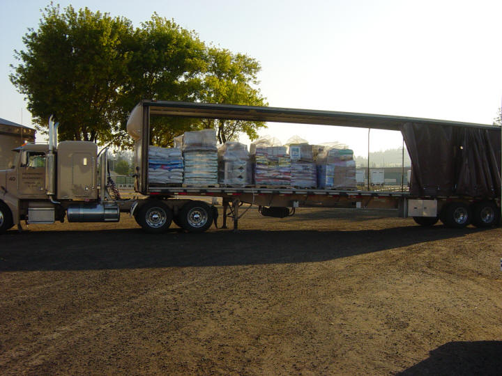 Expressway Curtain Vans